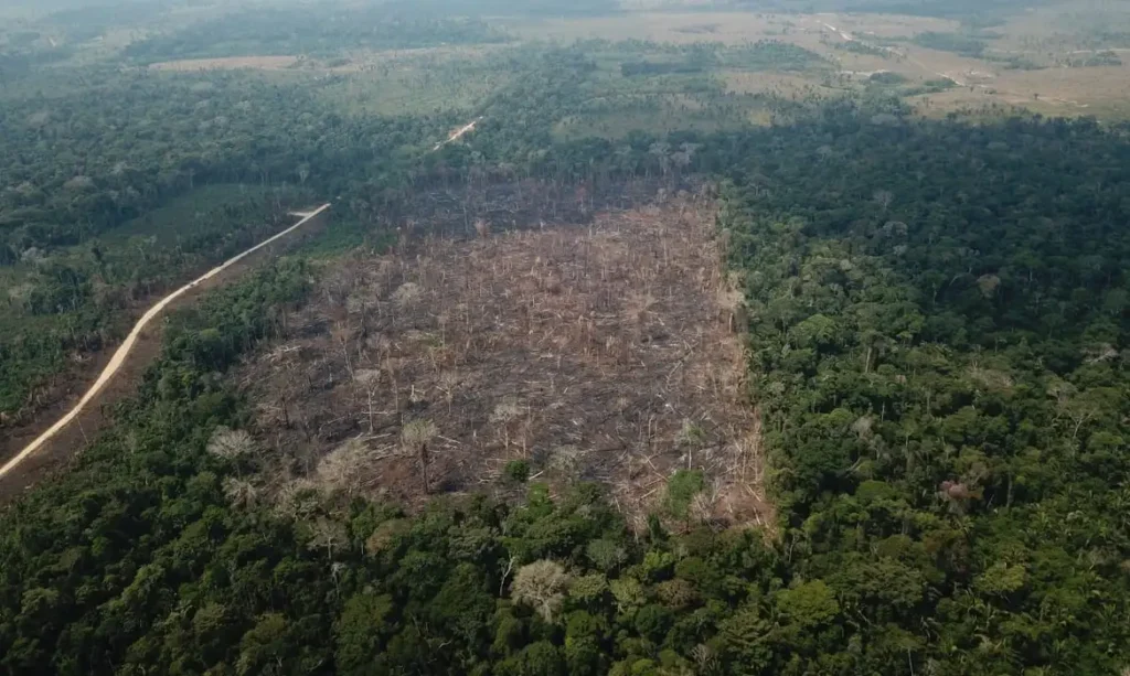 Área de desmatamento recente em meio a trecho preservado de floresta amazônica